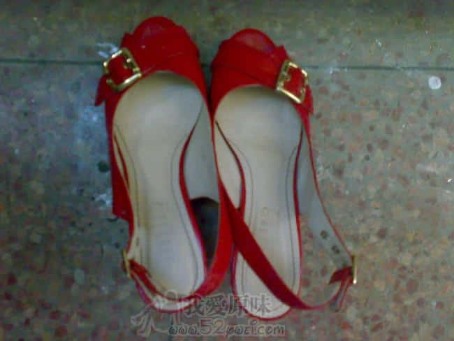20080804012.jpg