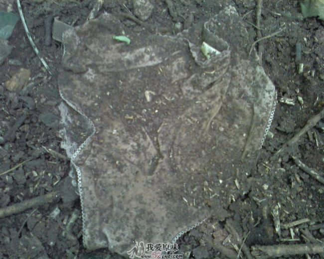 2008-0051.jpg