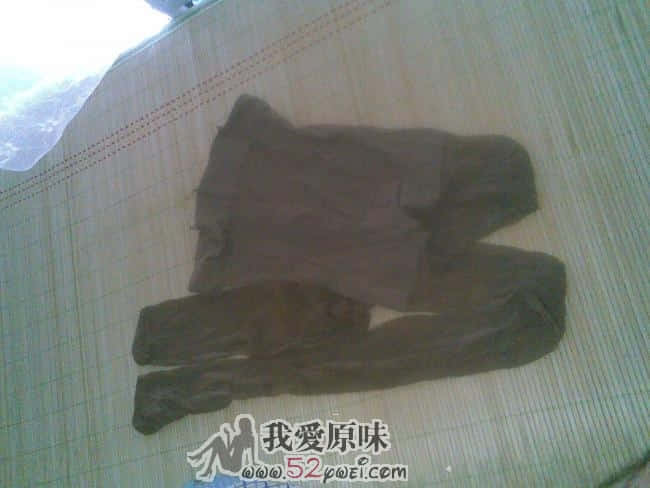 20090608(001).jpg