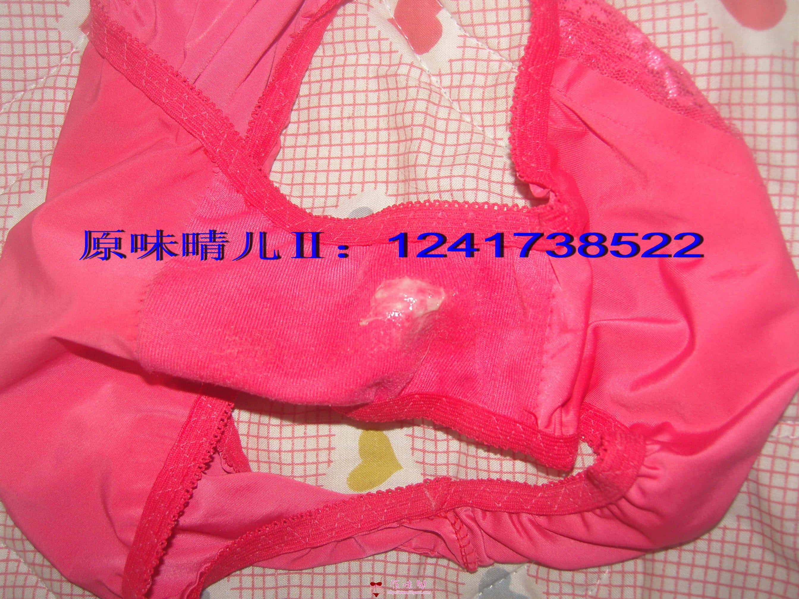 SNC18046.JPG