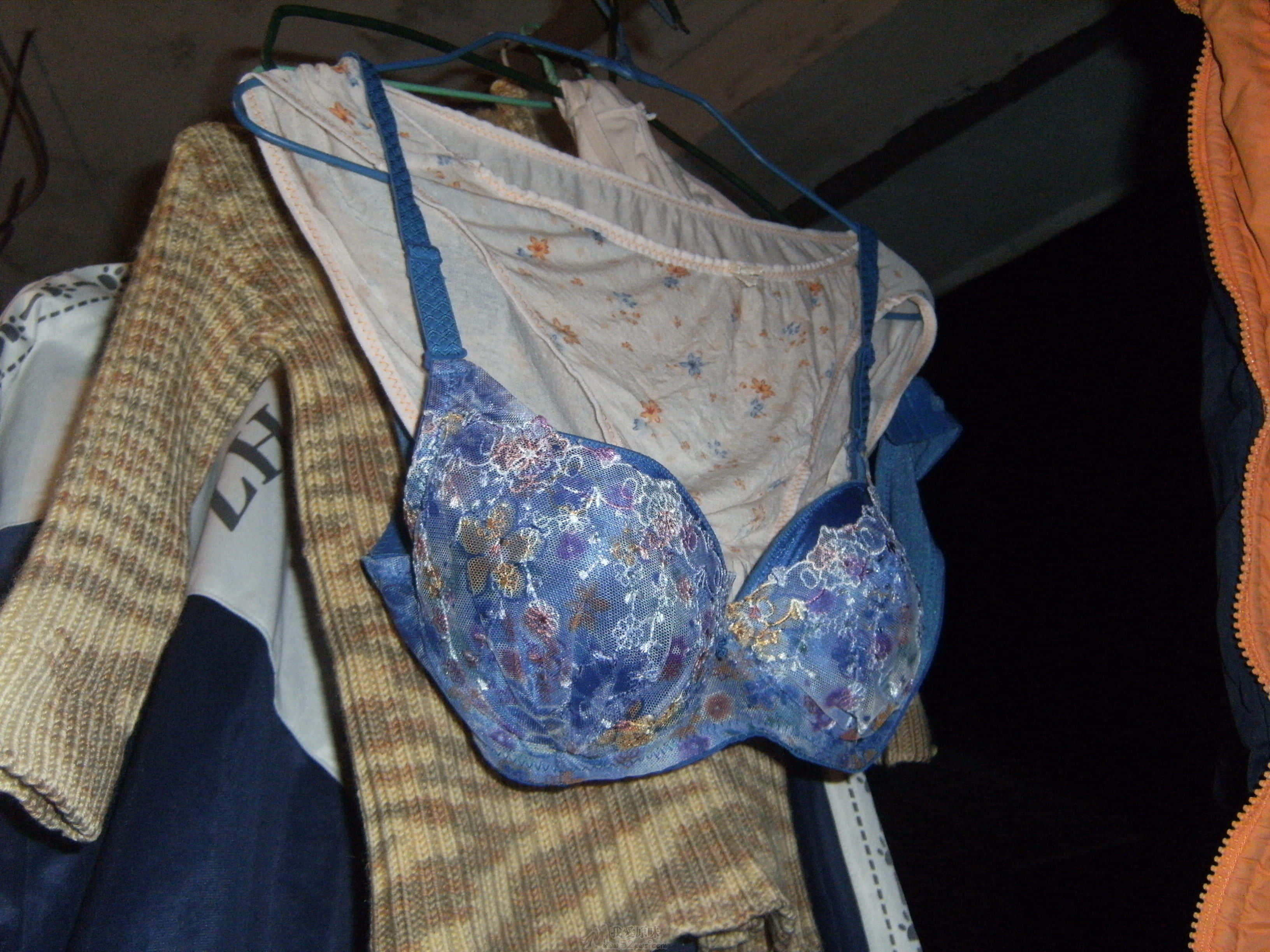 DSCF0009.jpg