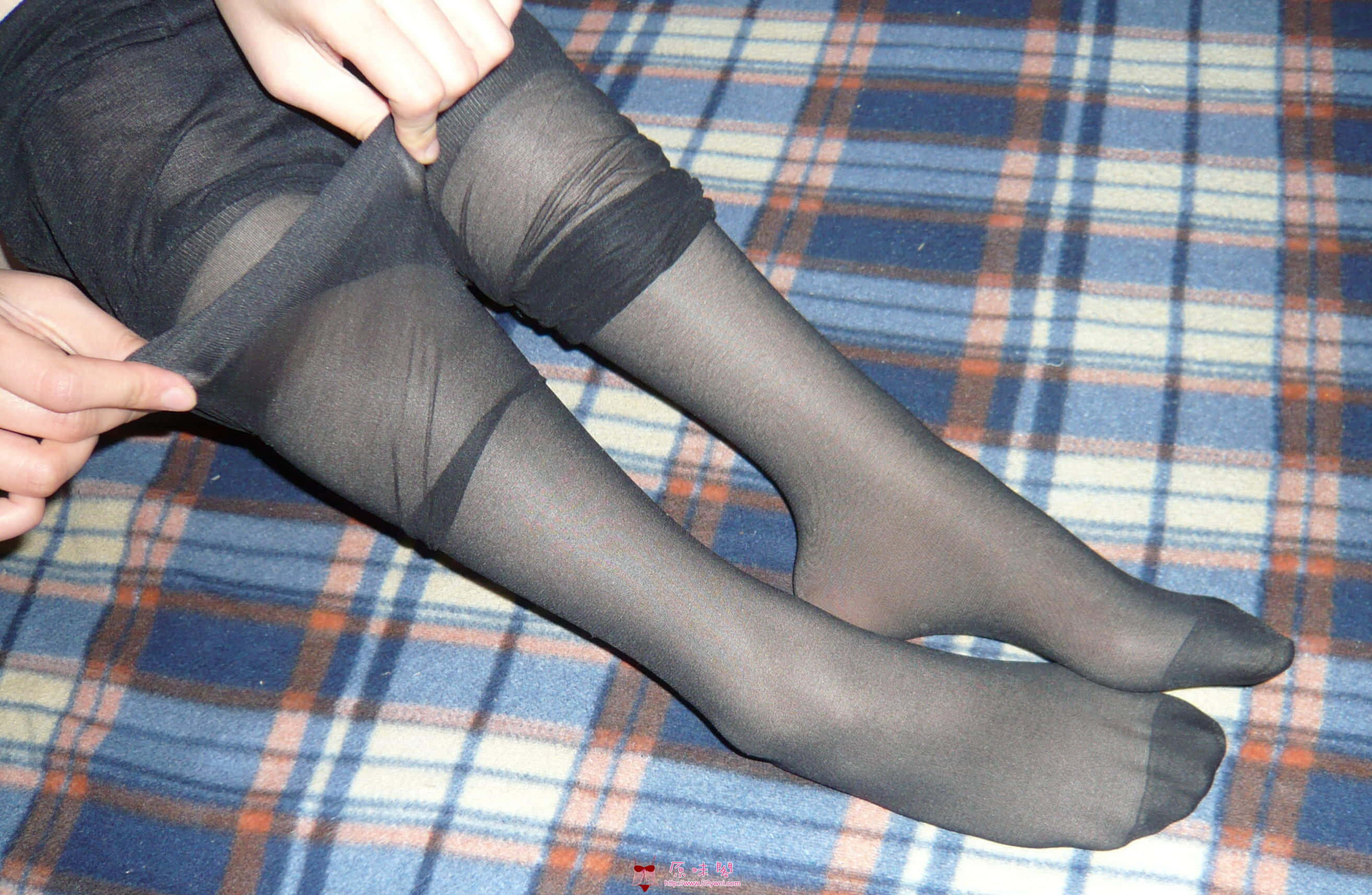 P1000804.jpg