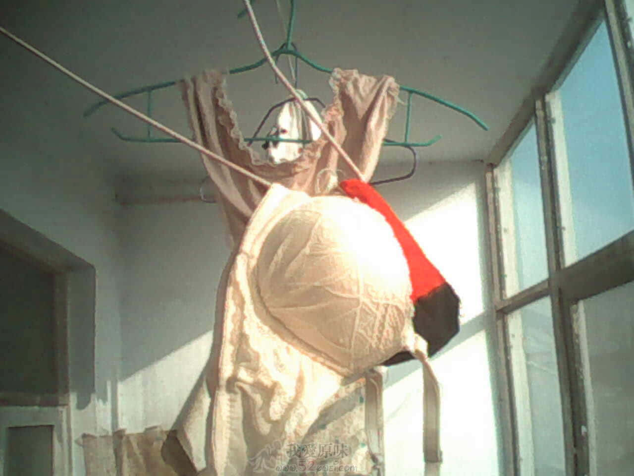 IMG0491A.jpg