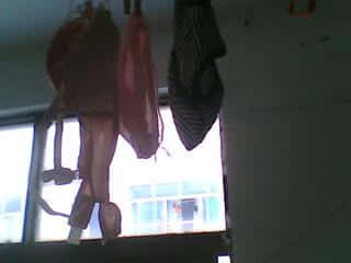 langsai for 52ywei.jpg