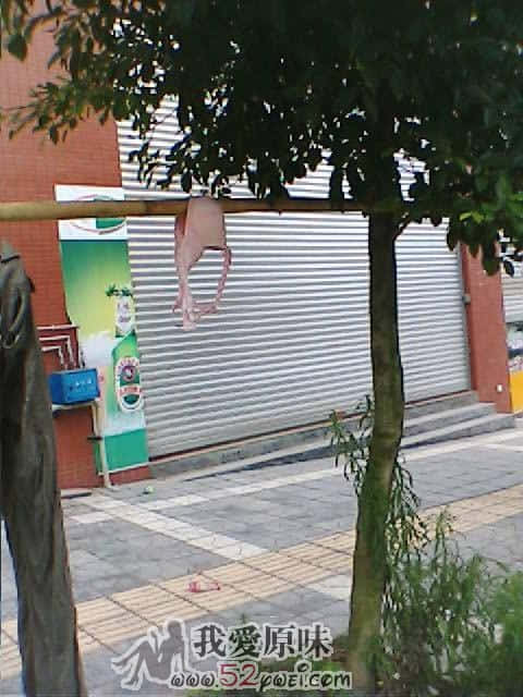 IMG002.JPG