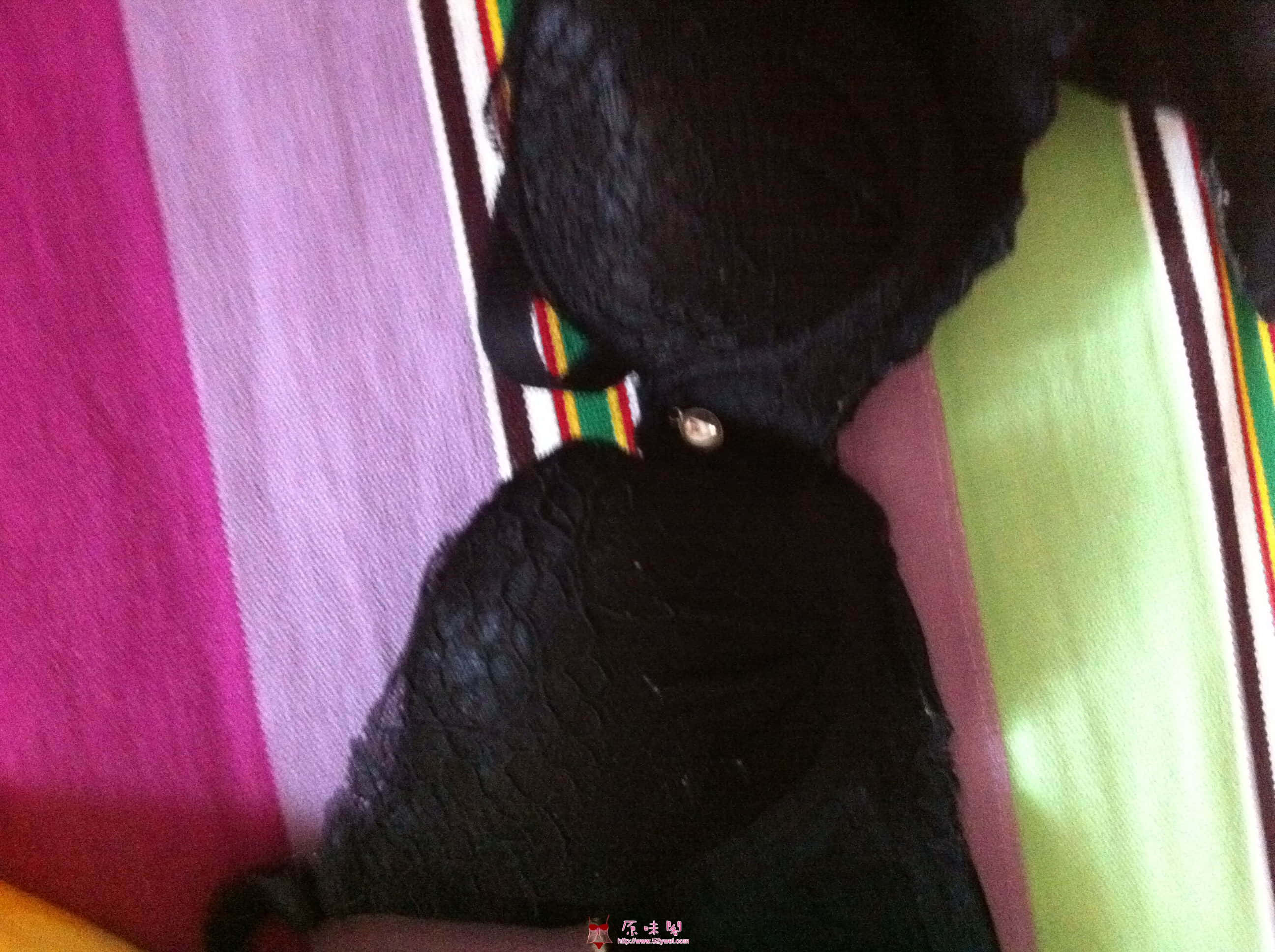 照片 006.jpg