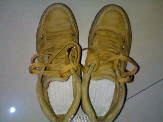 20090117826.jpg
