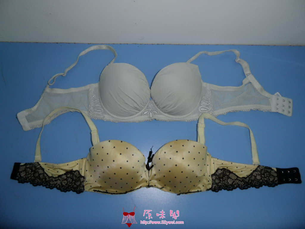 安莉芳