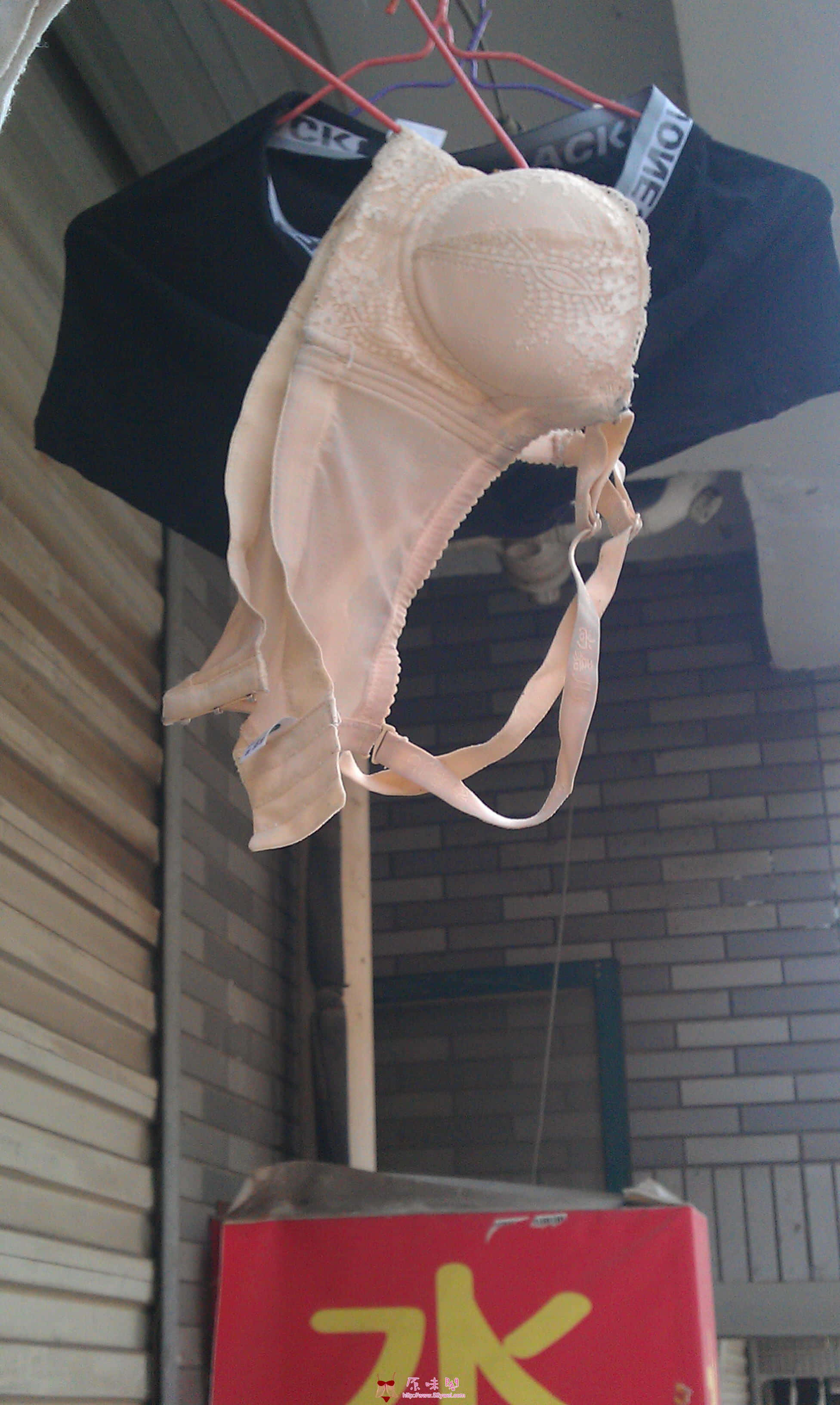 IMAG0863.jpg