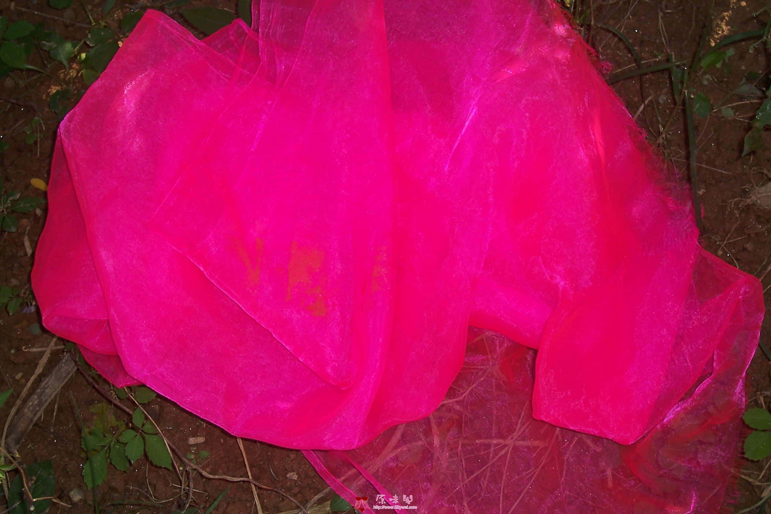 100_6789.JPG