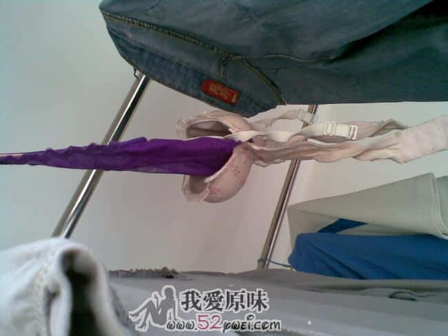 20090628.jpg
