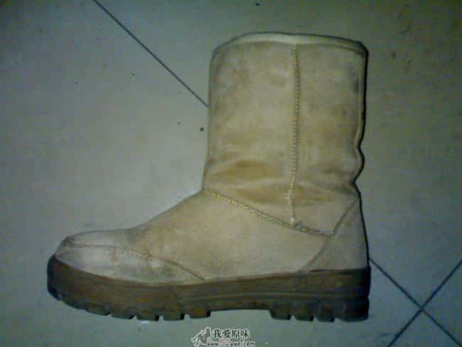 20090102799.jpg