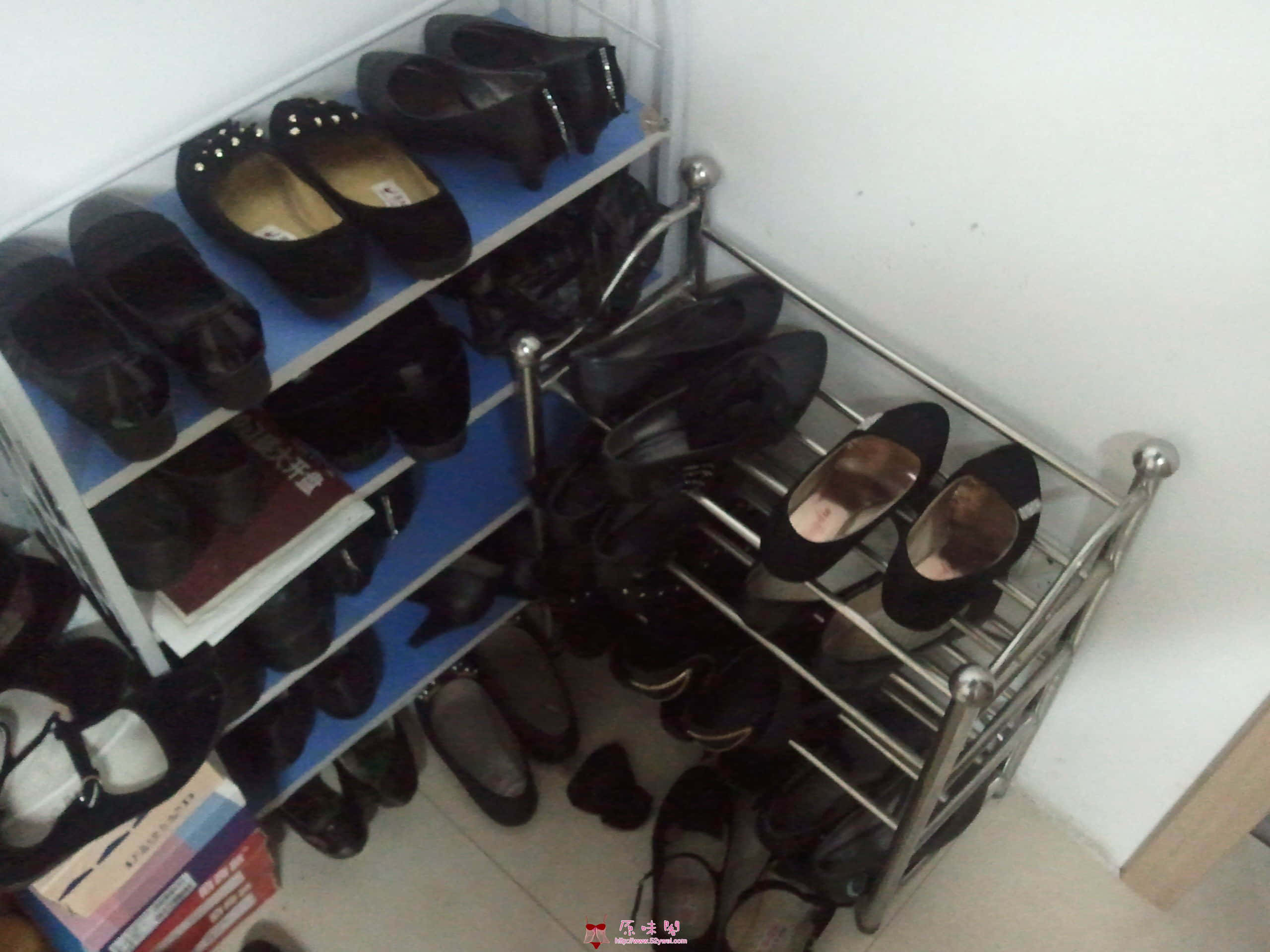 WP_000029.jpg