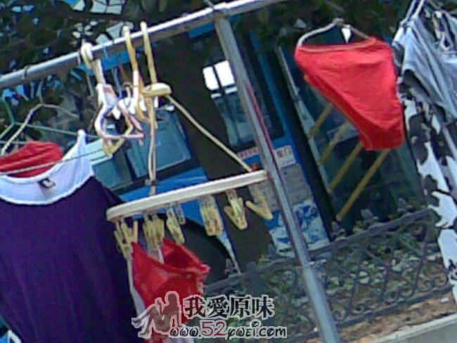 20090825(004_5).jpg