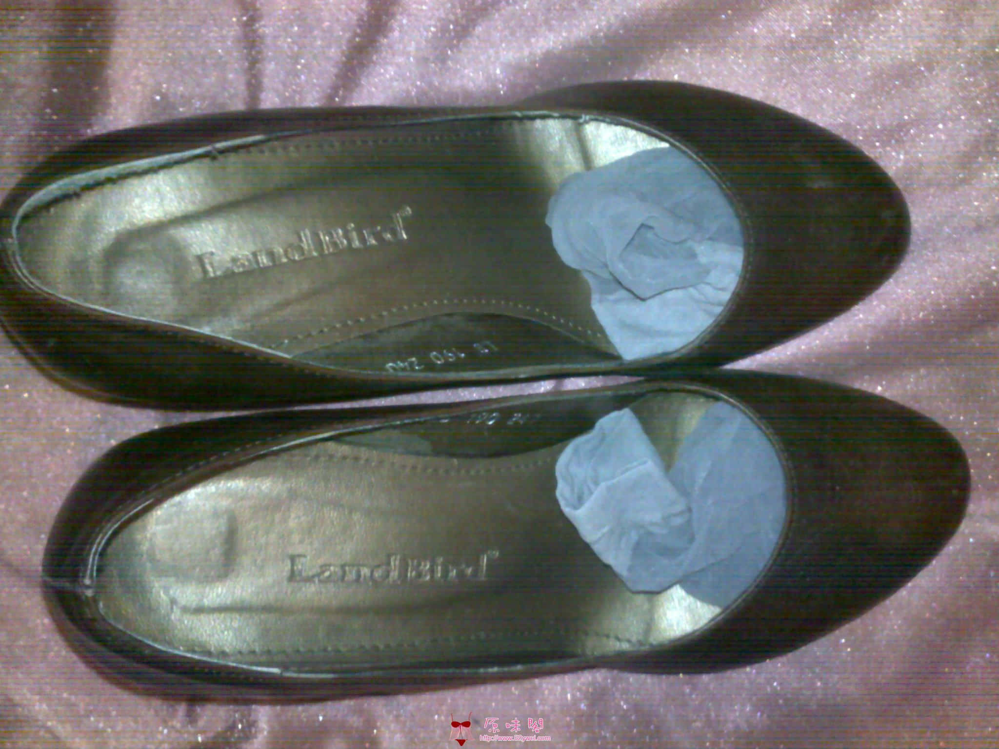 20100413171.jpg