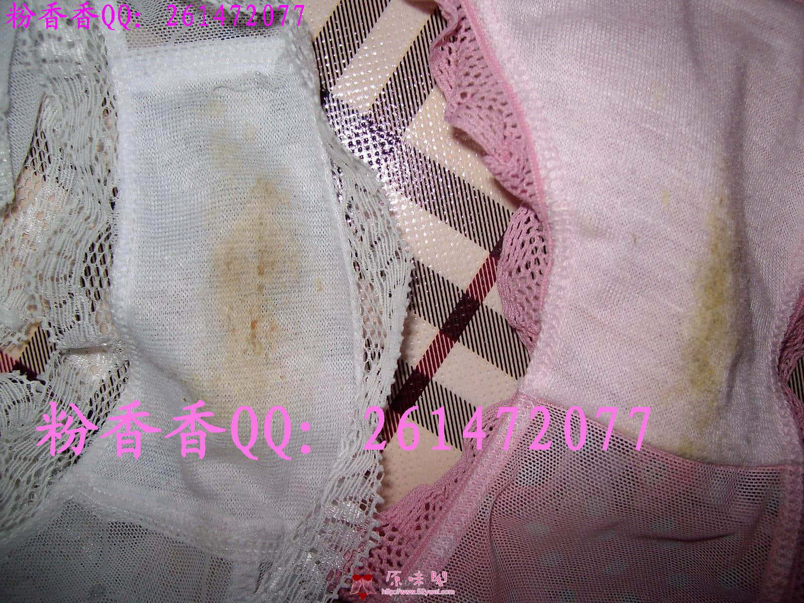 现货1.jpg