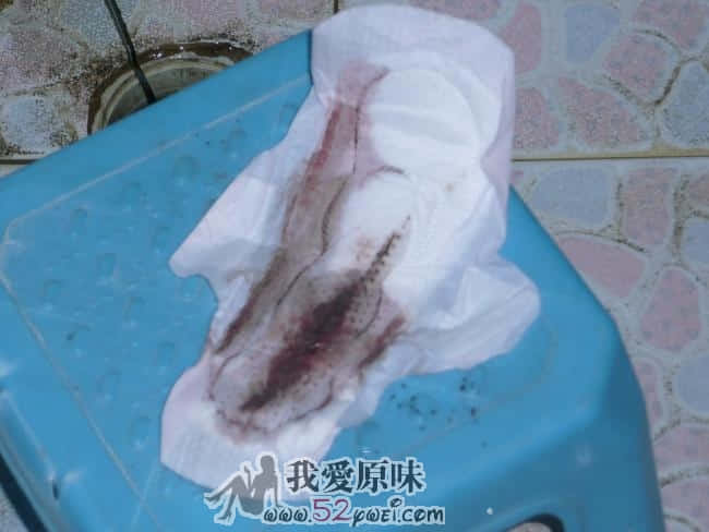 怪不得那S娘们这几天没鬼哭狼嚎，原来情况不允许啊！