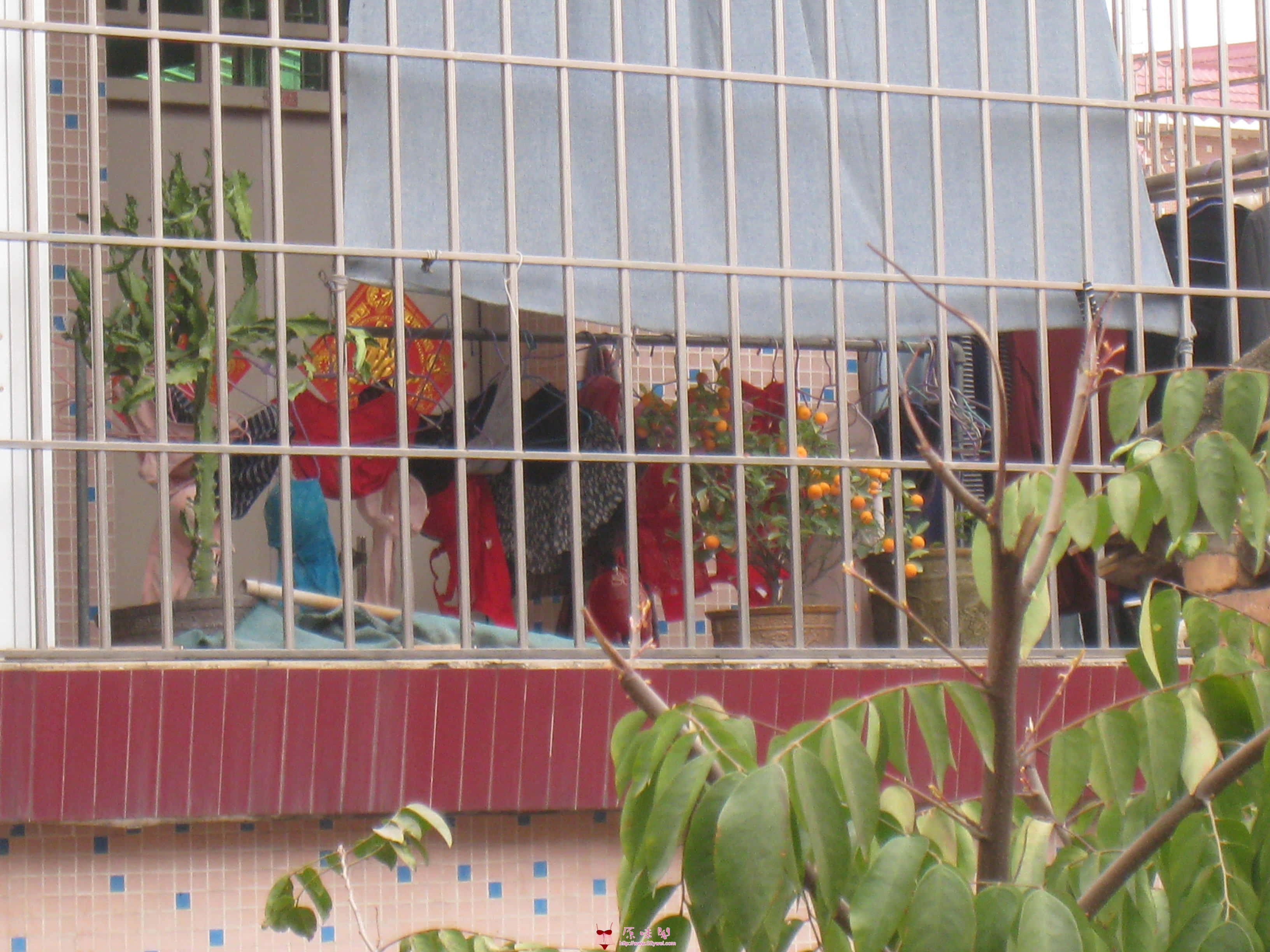 同一景点赏她内衣裤、反应良好，她天天晾晒、我天天发图