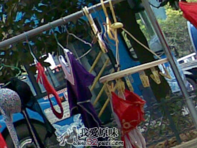 20090825(004_1).jpg
