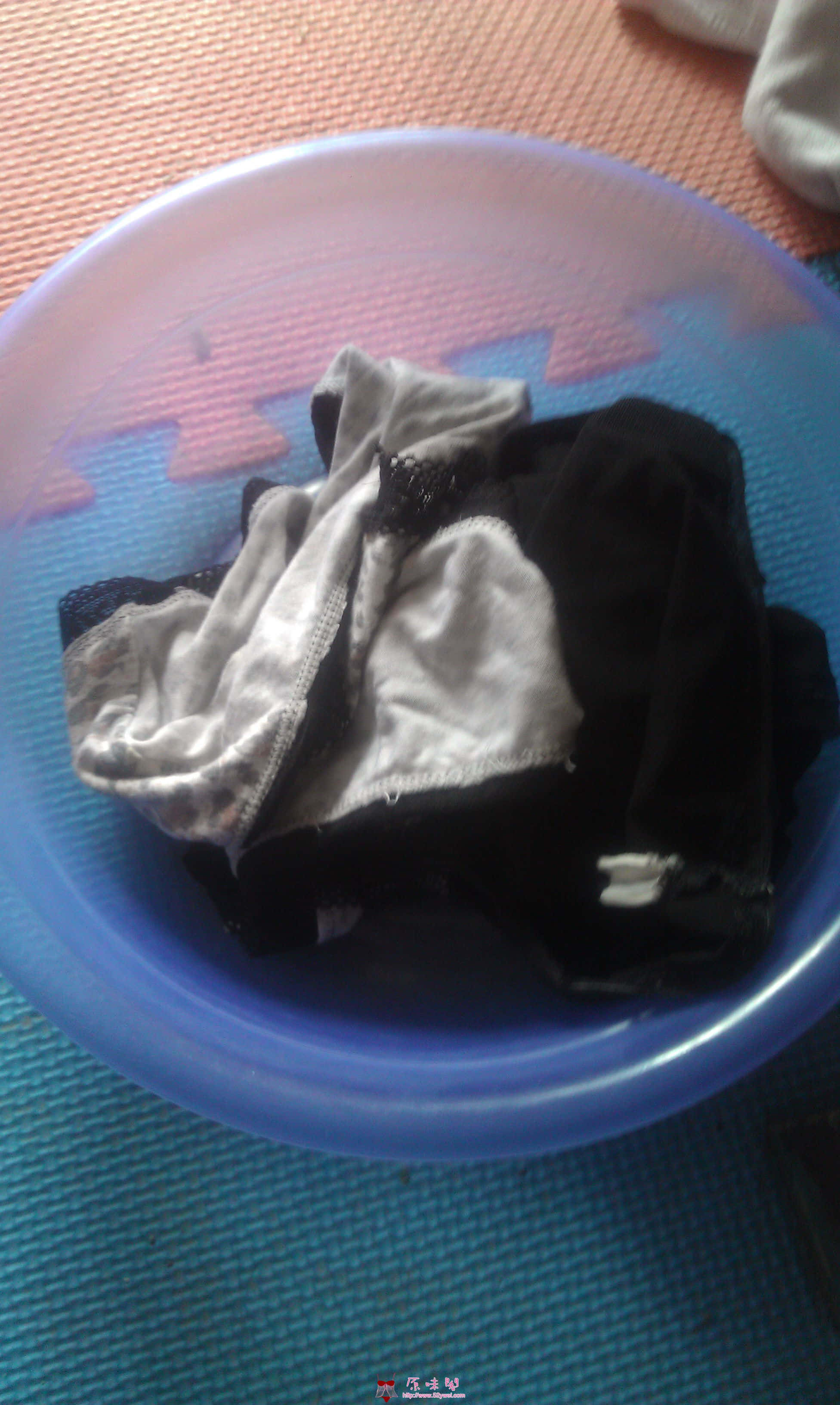 IMAG0131.jpg
