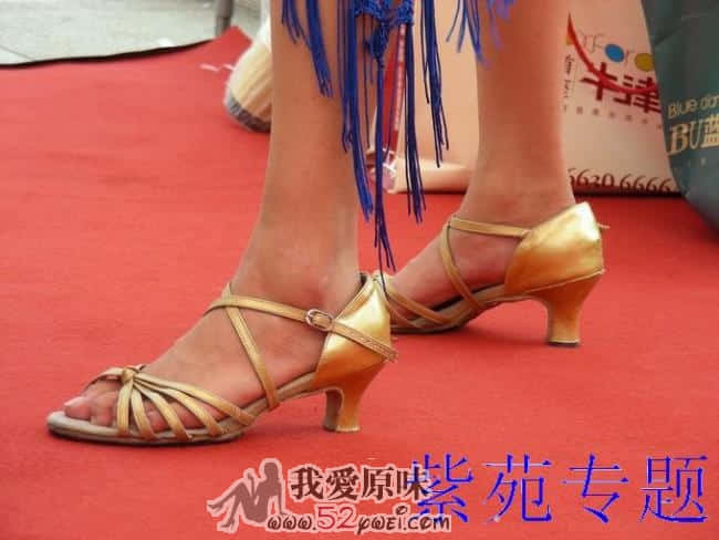 200891522441528798.jpg