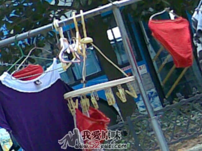 20090825(004_4).jpg