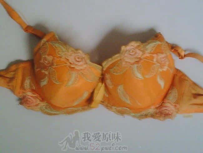 PICT0041.JPG