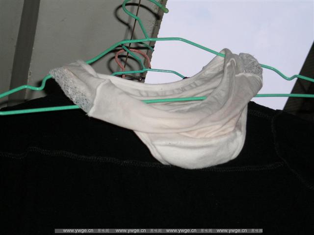 PA162175_调整大小.JPG
