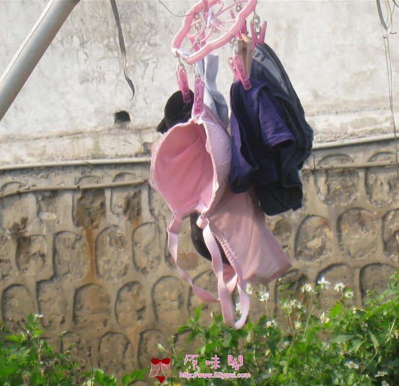请输入描述