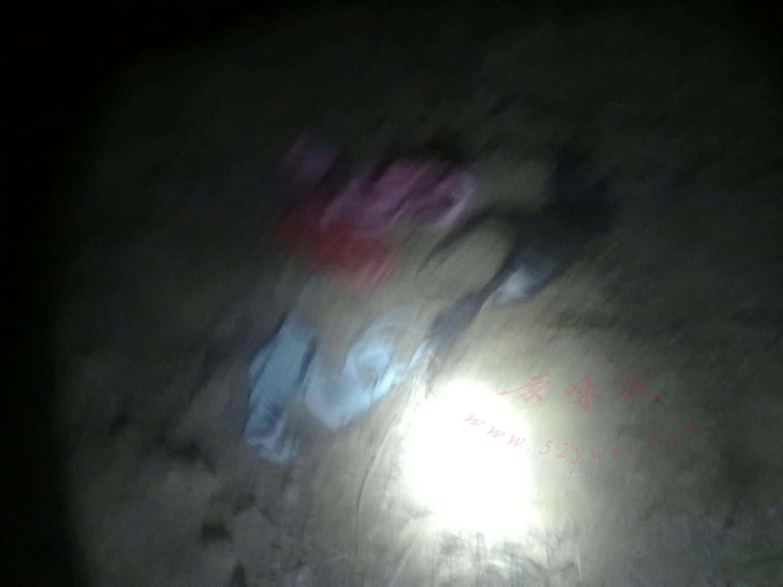 20130109273.jpg