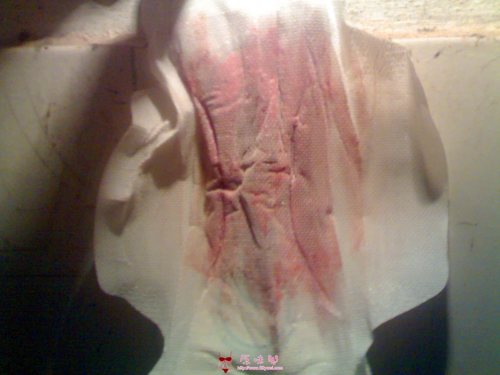 20100124(002).jpg