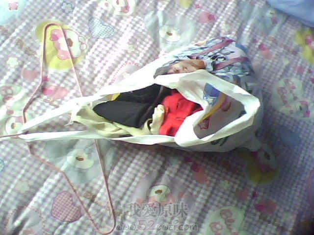 IMG1408A.jpg