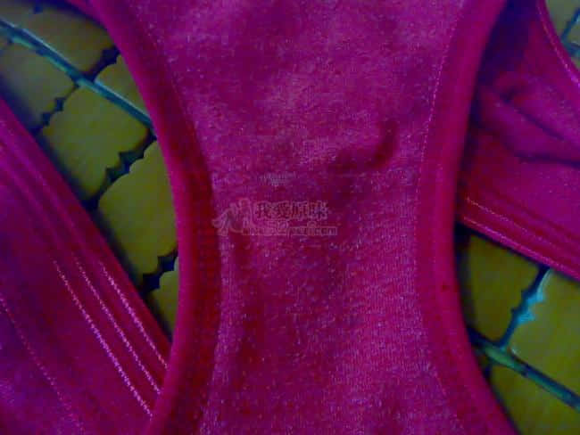 20090916133.jpg