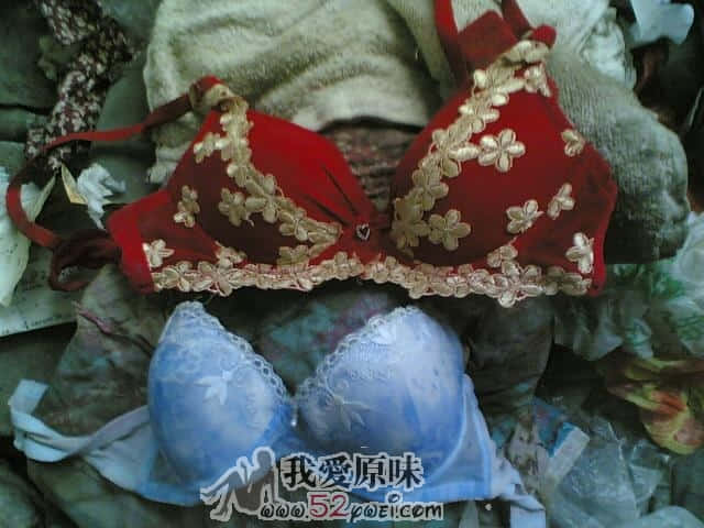 20090703.jpg
