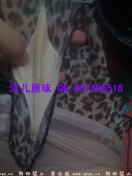 豹纹内.jpg