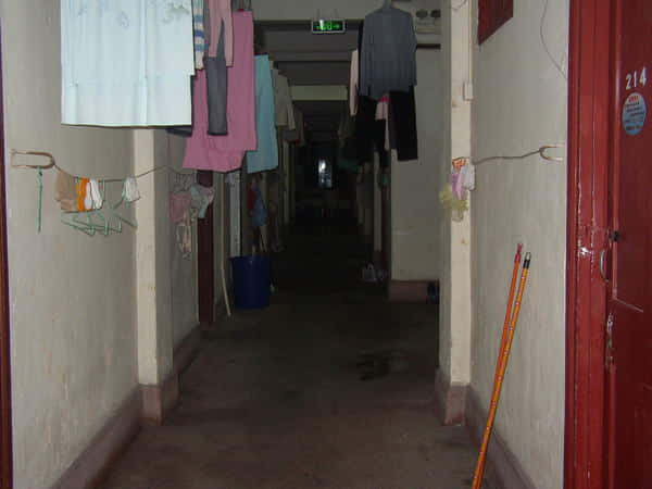 large_15027g68.jpg