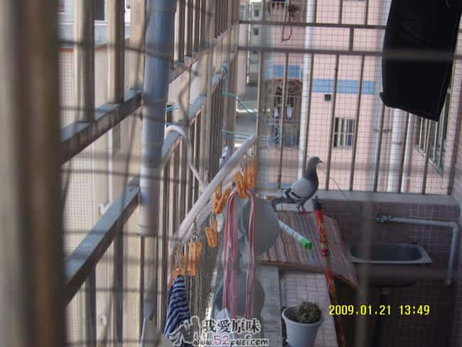 SNV80003.JPG