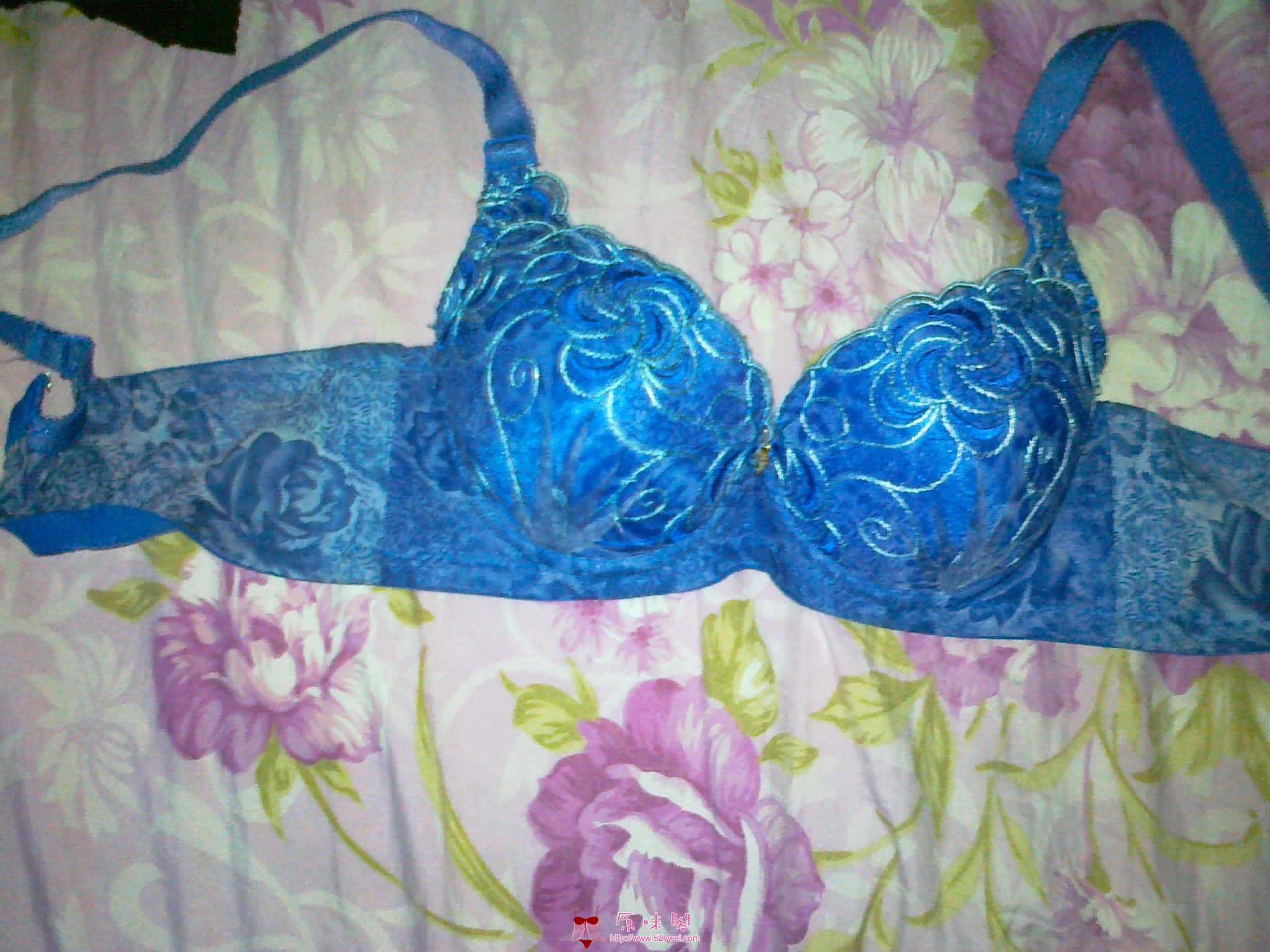 20120424328.jpg