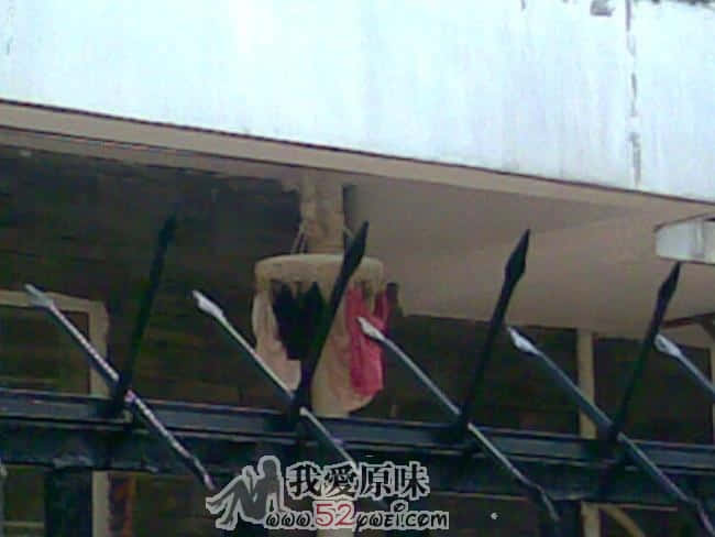 20090826(005).jpg