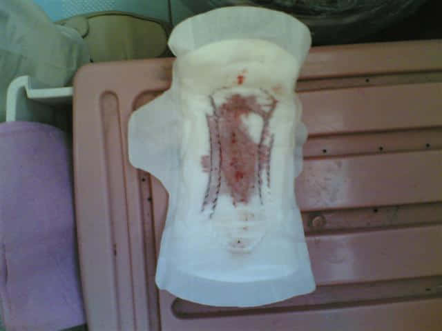 20080603(001).jpg