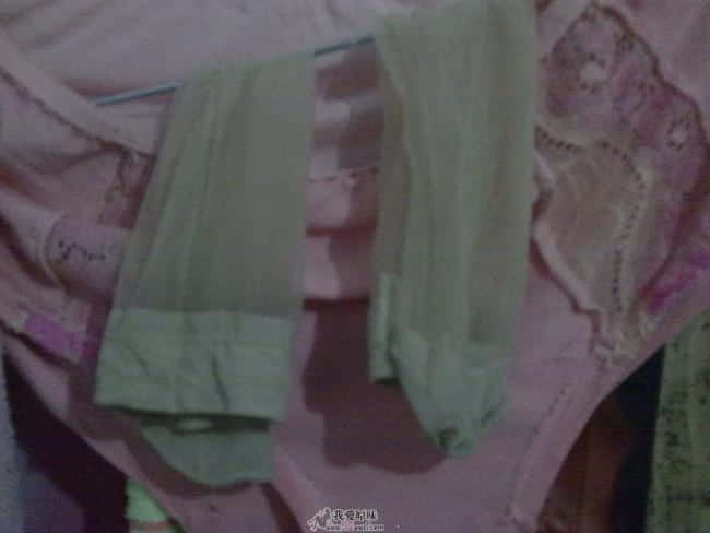 20090423229.jpg