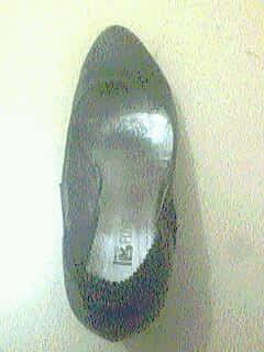 IMG0483A.jpg