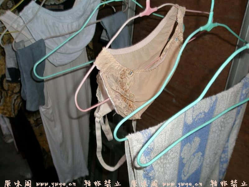 早知道就玩这条好了···一个少妇的