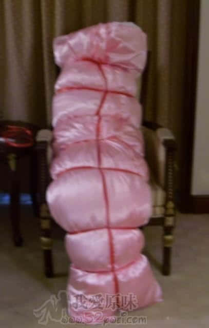 3424525.jpg