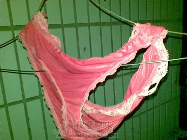 20091017_017_1.jpg