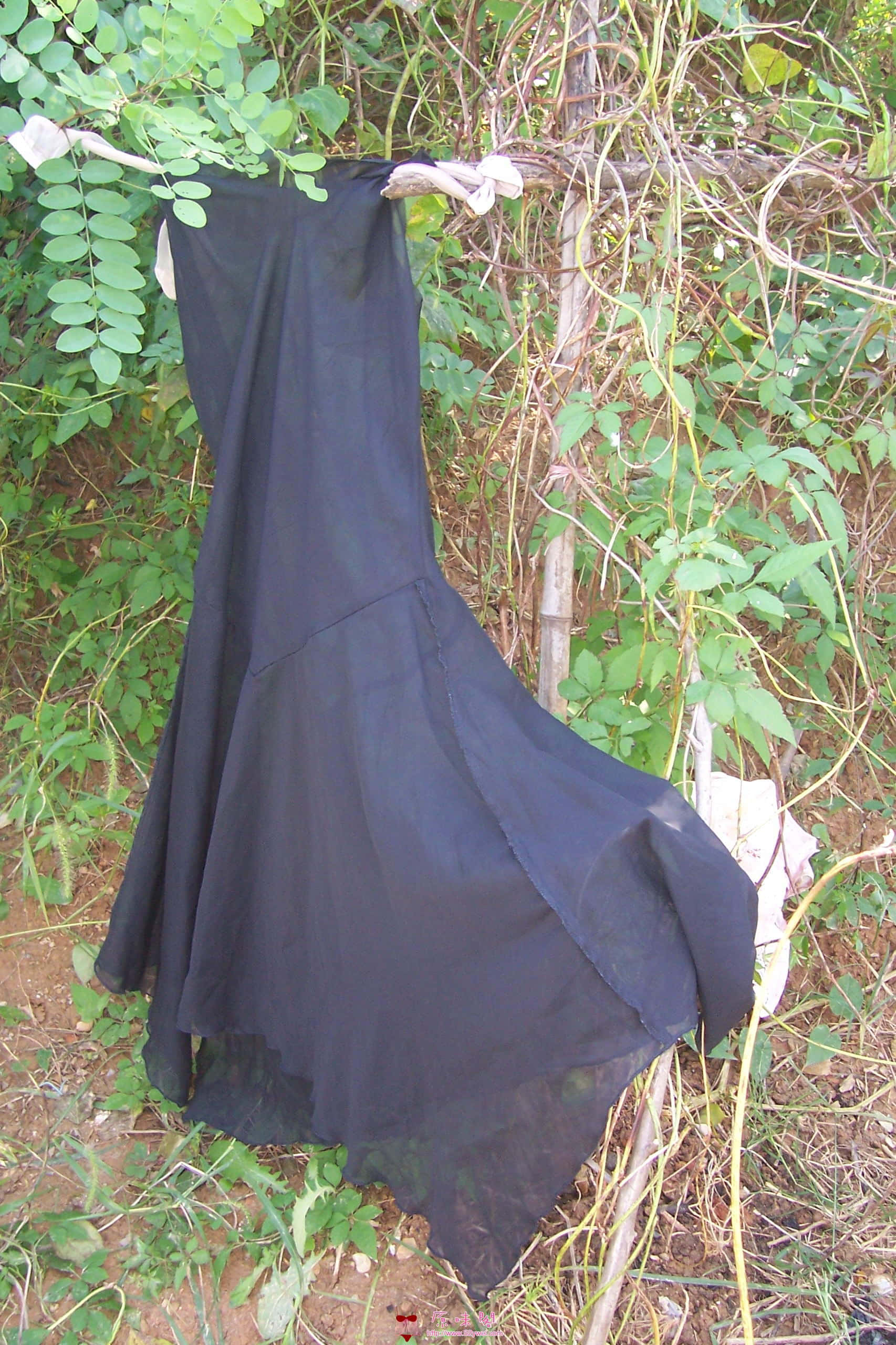 100_6756.JPG