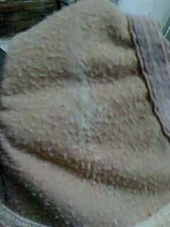 IMG1117185800.jpg