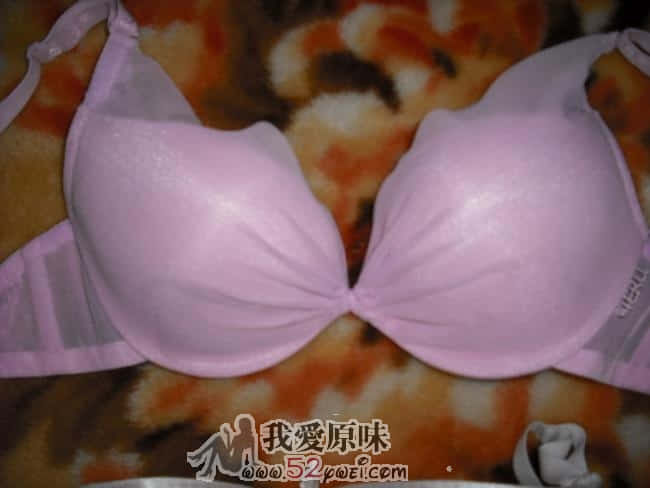 同租女生的乳罩1