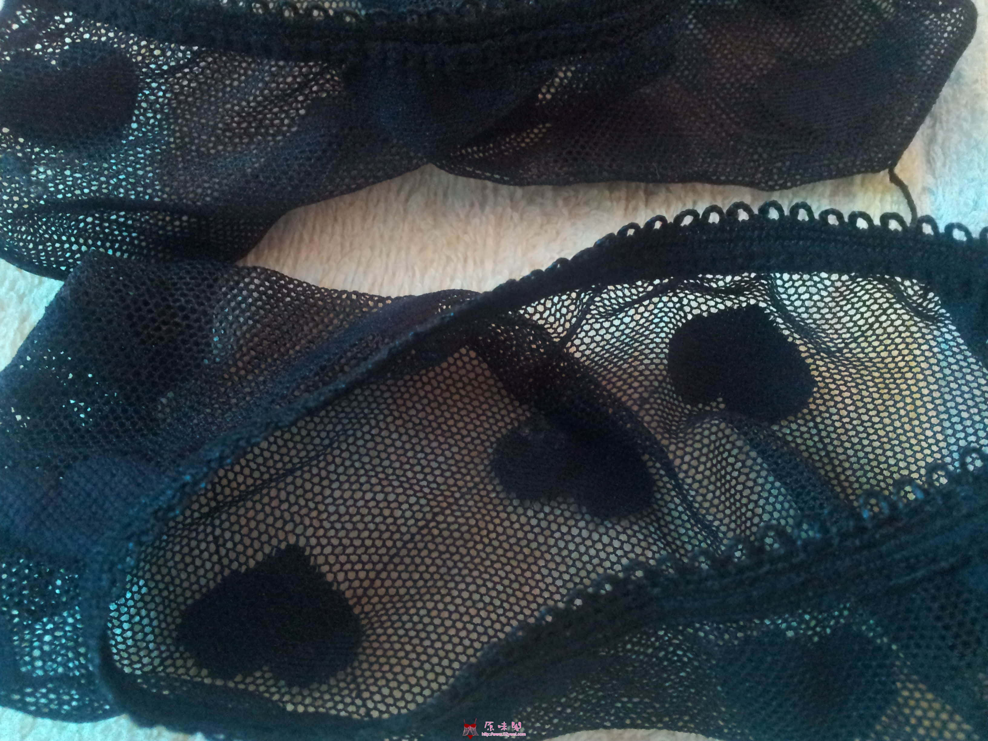 20120927_080451.jpg