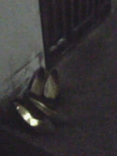 IMG0106B.jpg